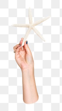 Starfish png in hand, transparent background