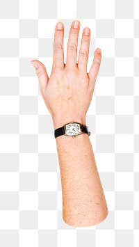 Png five fingers up hand gesture, sign language on transparent background