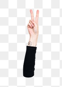 Peace png hand sign, transparent background