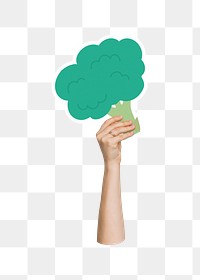 Hand holding png broccoli, transparent background