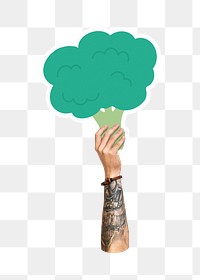 Hand holding png broccoli, transparent background