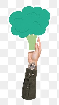 Hand holding png broccoli sticker, transparent background