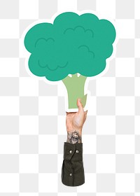 Hand holding png broccoli sticker, transparent background