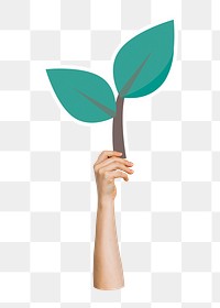 Hand holding leaf png sticker, transparent background