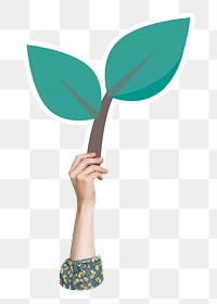 Hand holding leaf png sticker, transparent background