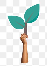 Hand holding leaf png sticker, transparent background