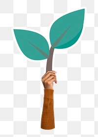 Hand holding leaf png sticker, transparent background