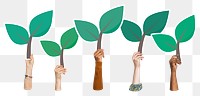 Hand holding leaf png sticker, transparent background