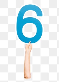 Number 6 png hand holding sign, transparent background