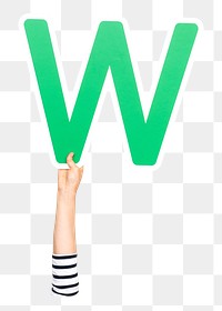 Letter W png hand holding sign, transparent background