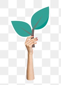 Hand holding leaf png sticker, transparent background