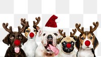 Christmas dogs png element, transparent background