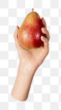 Png hand showing pear, transparent background