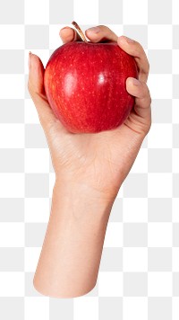 Png hand showing apple, transparent background