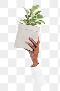 Png hand holding plant, transparent background