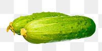 PNG cucumbers, collage element, transparent background