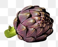 Fresh purple artichoke  png, transparent background