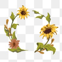 Sunflower png frame, transparent background