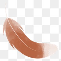 Feather png illustration, transparent background