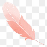 Feather png illustration, transparent background