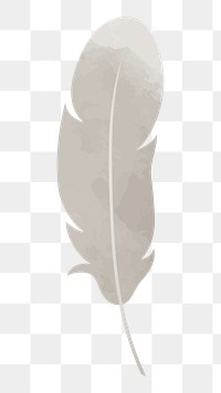 Feather png illustration, transparent background