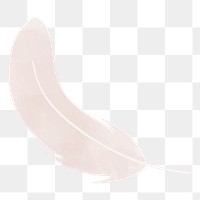 Feather png illustration, transparent background