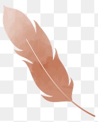 Feather png illustration, transparent background