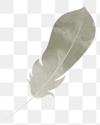 Feather png illustration, transparent background