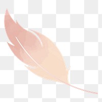 Feather png illustration, transparent background