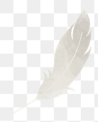 Feather png illustration, transparent background