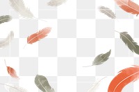 Feather png border, transparent background