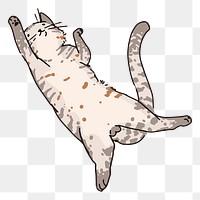 Png cat belly flop doodle sticker, transparent background