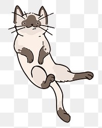 Png adorable cat doodle sticker, transparent background