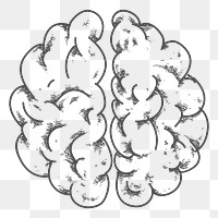 Png outline brain doodle design element, transparent background