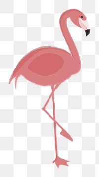 Flamingo png illustration, transparent background