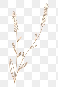 Floral element png, transparent background