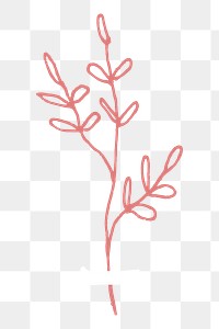 Png flower line art element, transparent background
