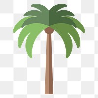 Png palm tree flat sticker, transparent background