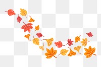 Png autumn leaves design element, transparent background