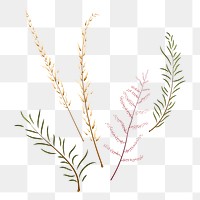 Png autumn leaf branches sticker, transparent background