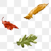 Png autumn leaves sticker, transparent background