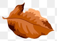 Png brown autumn leaf sticker, transparent background