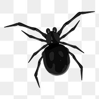 Png black spider sticker, transparent background