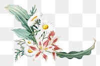 Flower png border, transparent background