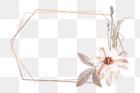 Flower png frame, transparent background