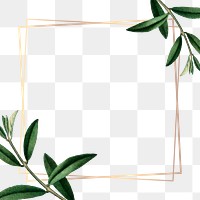 Leaf png frame, transparent background