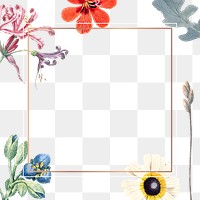 Flower png frame, transparent background