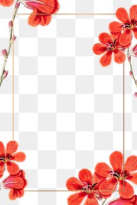 Flower png frame, transparent background