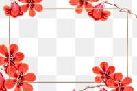 Flower png frame, transparent background