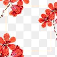 Flower png frame, transparent background